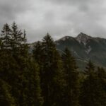 Orthodox Quotes